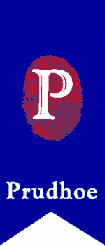 Prudhoe Rosettes logo